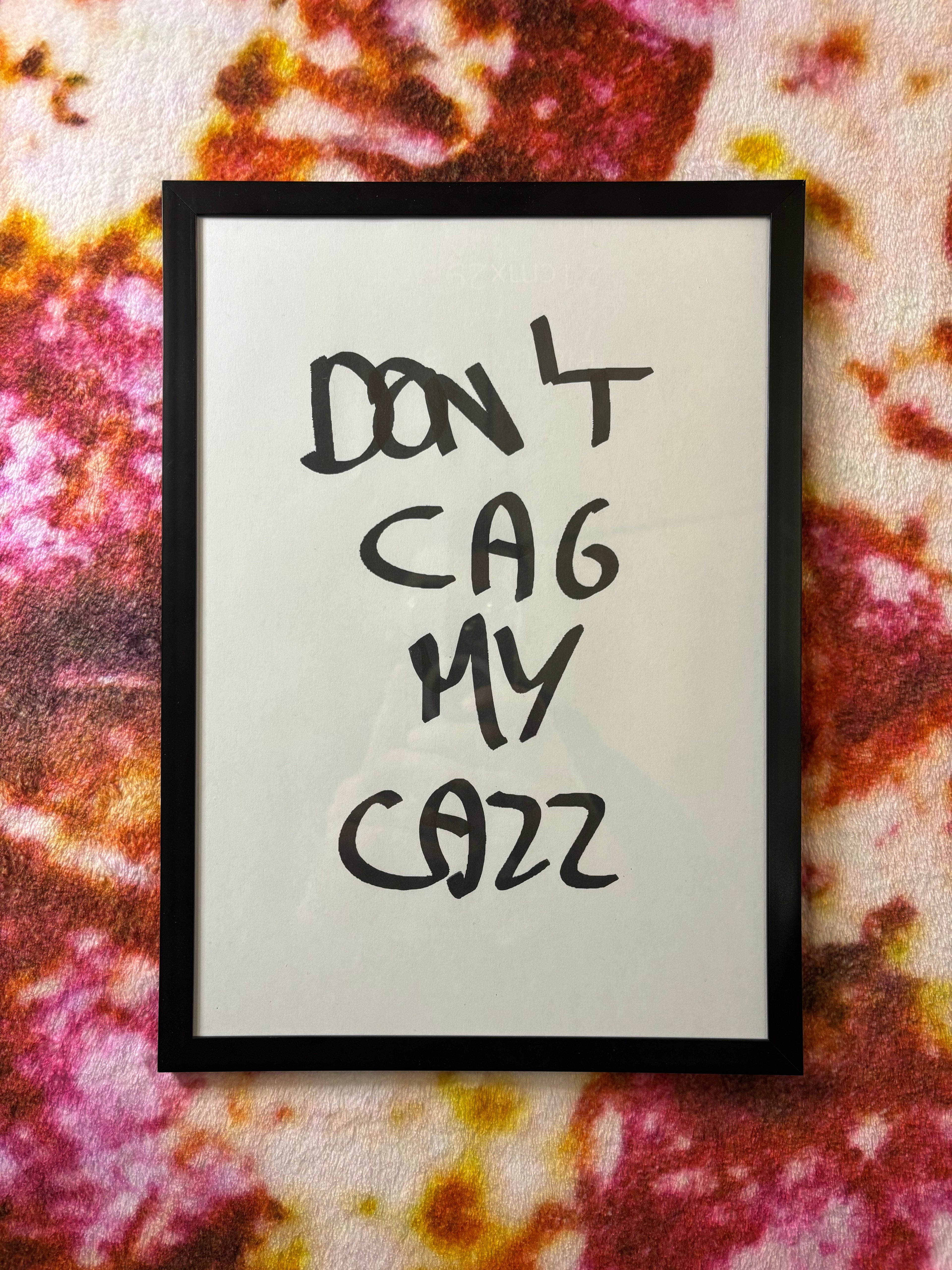 Quadro Ironico - "Don't cag my cazz"